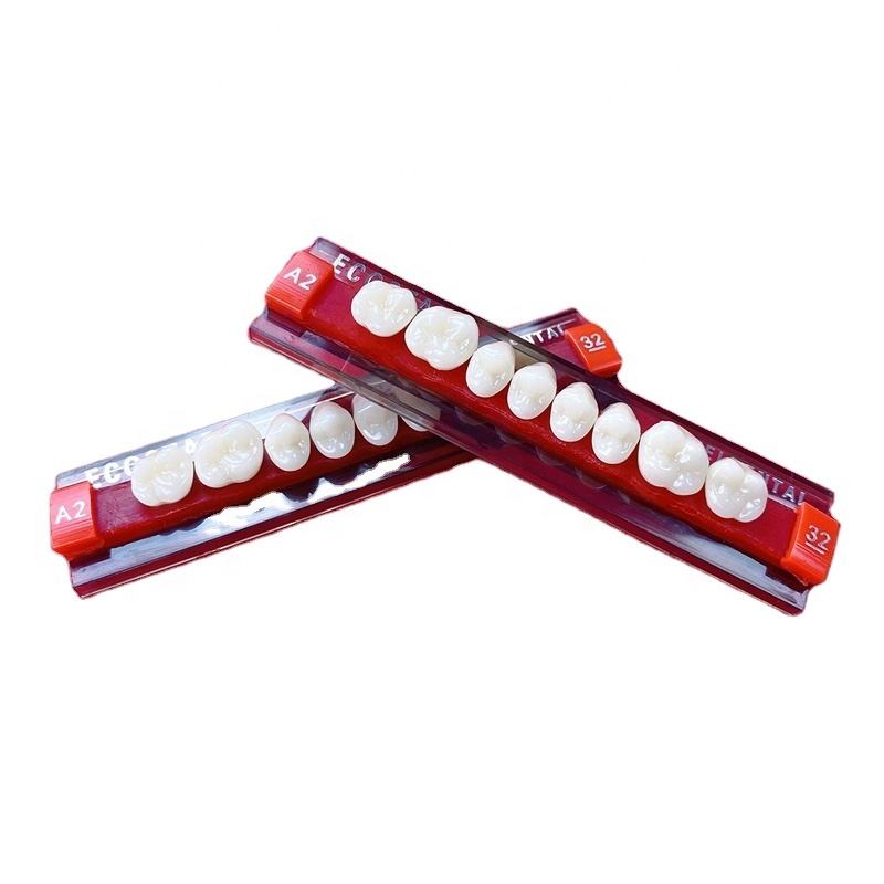 denture acrylic teeth