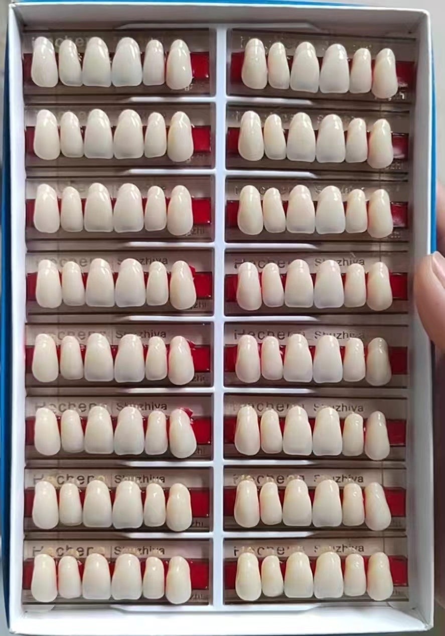 false teeth dentures