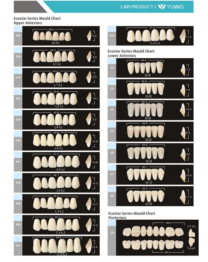 acrylic artificial teeth