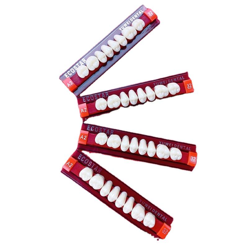 acrylic artificial teeth