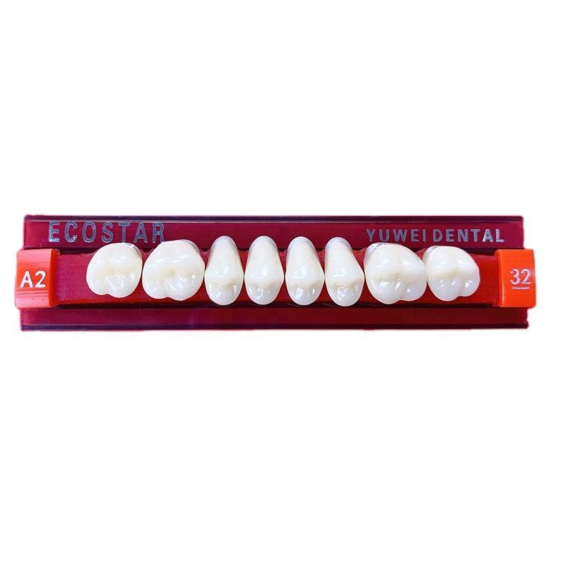 acrylic artificial teeth